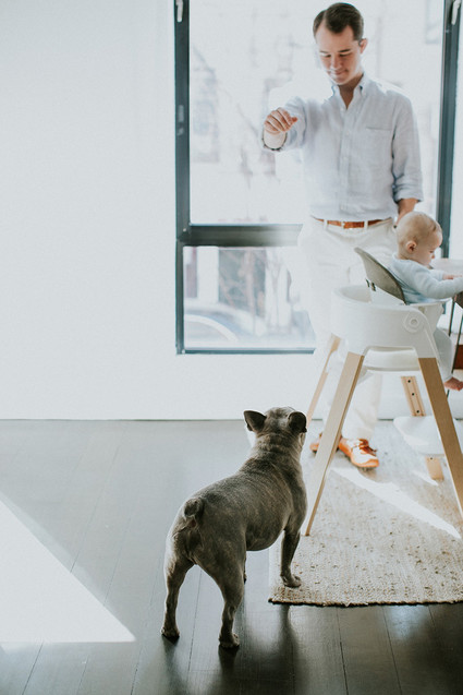 Bright Williamsburg family photos