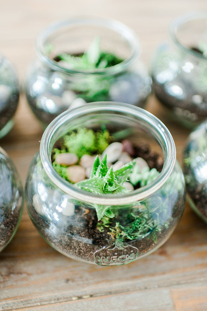 Terrarium favors Inspiration
