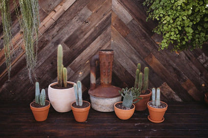 Modern bohemian wedding