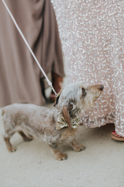 Modern Palm Springs wedding at Colony 29