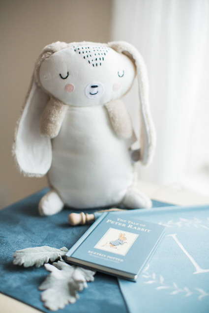 Peter Rabbit spring baby shower