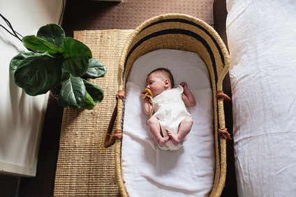 lifestyle newborn photos