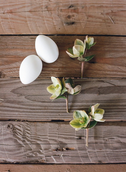 DIY eggshell planters
