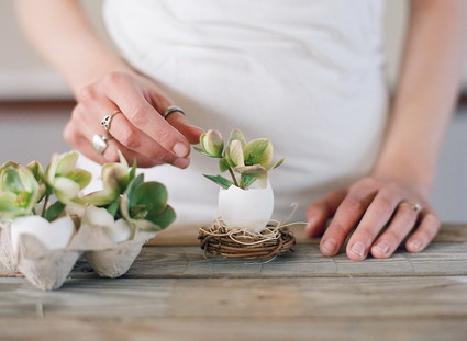 DIY eggshell planters