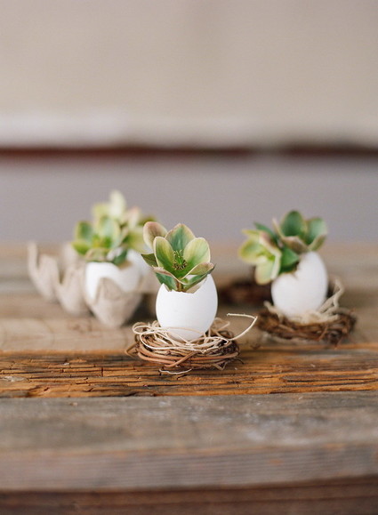 DIY eggshell planters