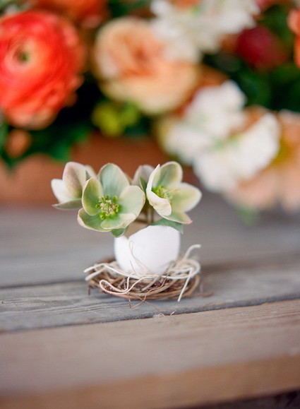 DIY eggshell planters