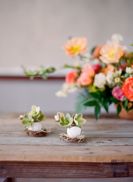 DIY eggshell planters