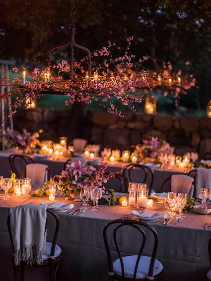 Outdoor dinner party