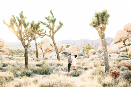 Desert wedding