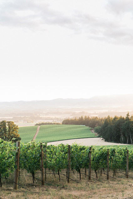 Oregon Wine Country Wedding