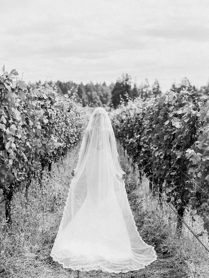 Oregon Wine Country Wedding