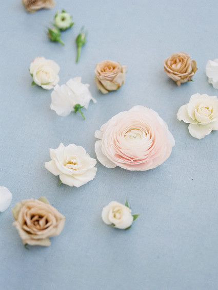 Spring flowers