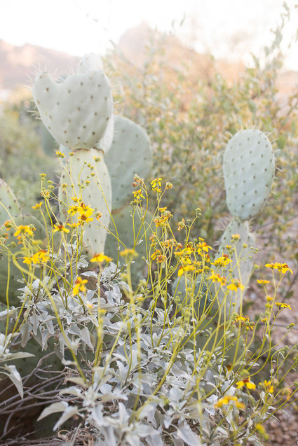 Elegant Desert Dream Wedding Inspiration