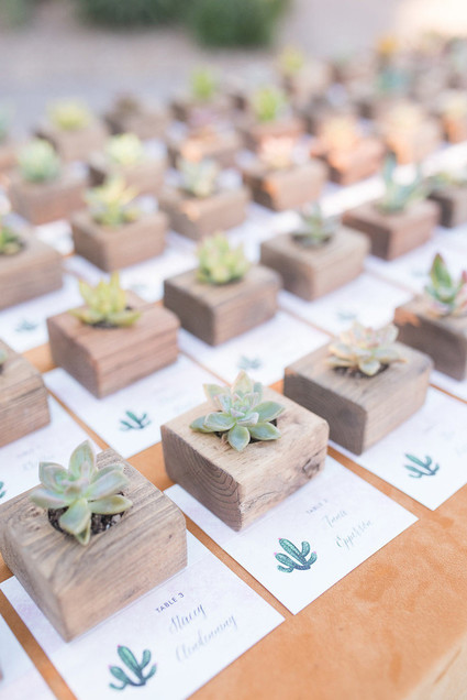 Succulent favors