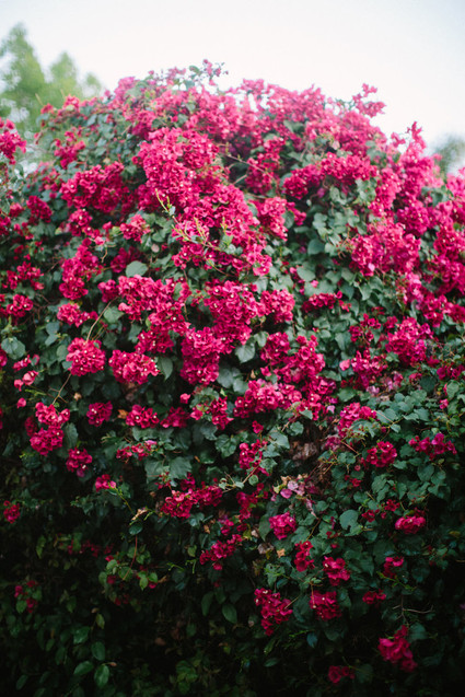 Tuscan romance wedding editorial