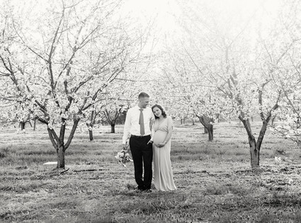 Apple blossom maternity photos