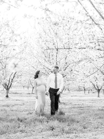 Apple blossom maternity photos