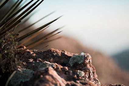 Mountaintop Malibu sunset engagement shoot