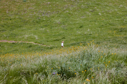 Family photos at Wind Wolves Preserve