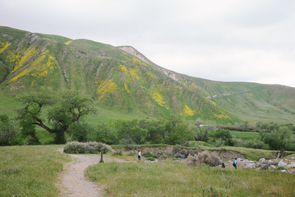 Family photos at Wind Wolves Preserve