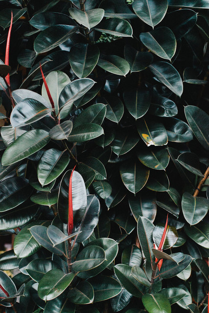 Los Angeles SmogShoppe wedding