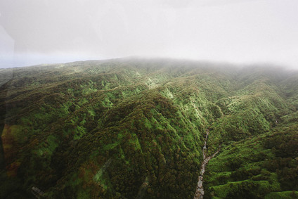 Montage Kapalua Inspiration