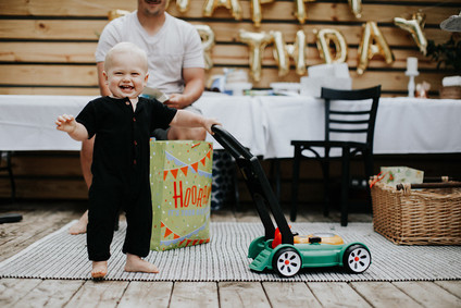 Wild One first birthday party