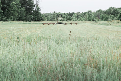 Earthy summer wedding in Michigan