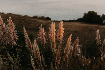 Intimate Big Sur wedding Inspiration