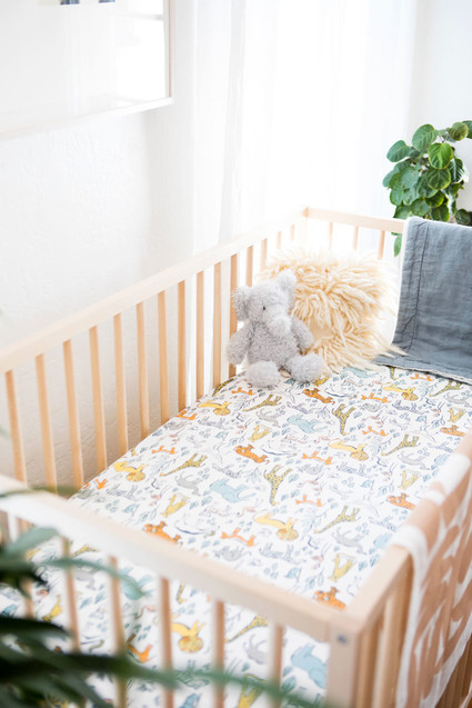 Modern eclectic boy's nursery