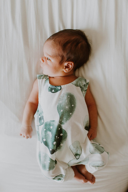 Cactus inspired nursery and newborn photos