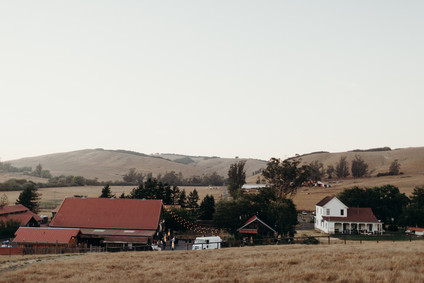 Petaluma farm wedding