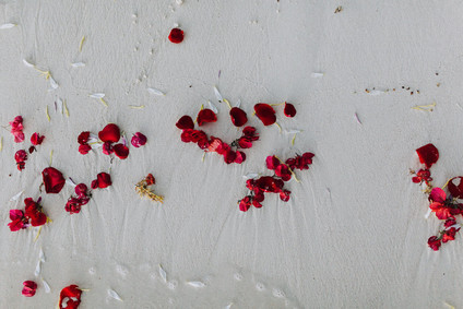 Cosmic Mayan wedding ceremony in Tulum