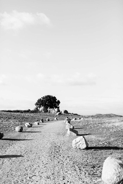 Black and white fashion-inspired family photos