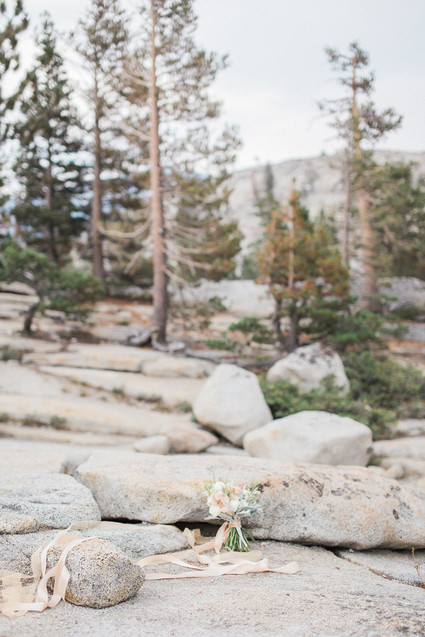 Blush Yosemite vow renewal Inspiration