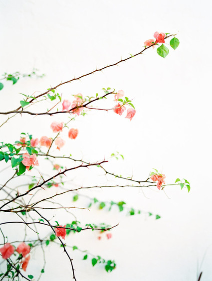 Wedding at Korakia Pensione in Palm Springs