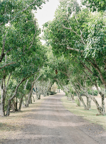 Vintage botanical wedding at Puakea Ranch in Hawaii