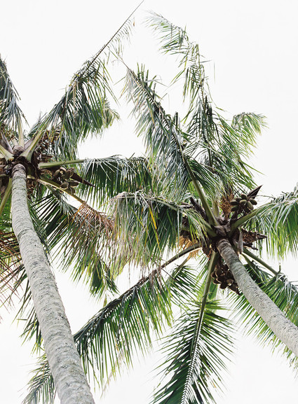 Vintage botanical wedding at Puakea Ranch in Hawaii