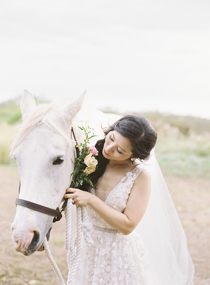 Bride and horse portrait