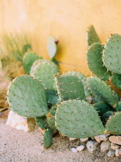 Eclectic Joshua Tree wedding at the Sacred Sands Inn Inspiration