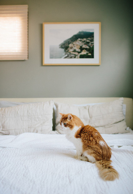 Amanda's maternity and newborn photos by Annie McElwain Wedding Inspiration