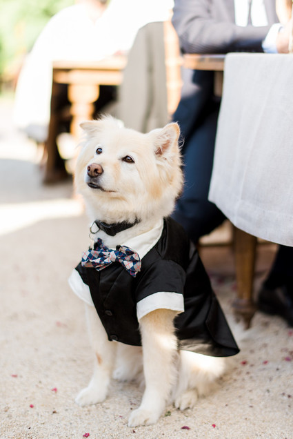 Romantic DIY Napa Valley wedding at Brix Restaurant