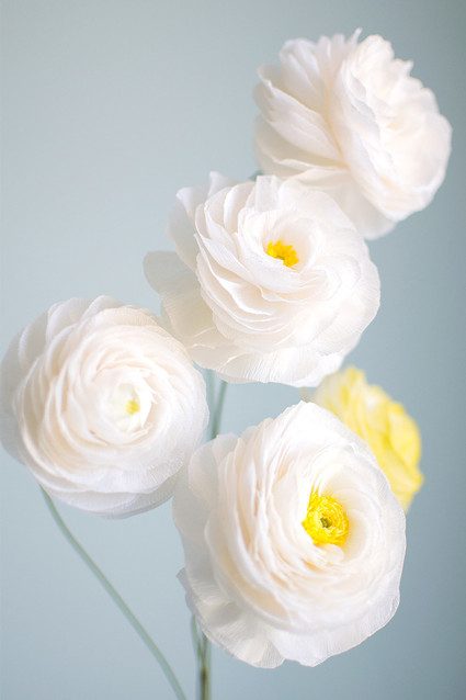 Paper ranunculus Inspiration