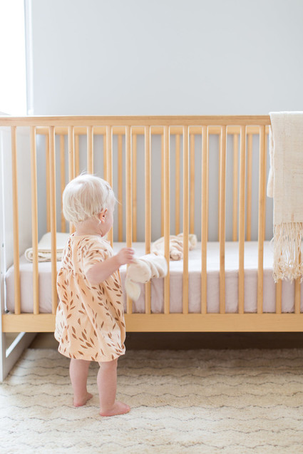 Louella's pastel nature-inspired girl's nursery