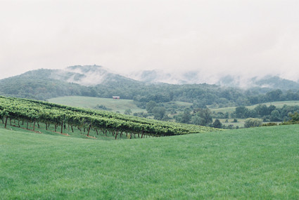 spring floral wedding inspiration