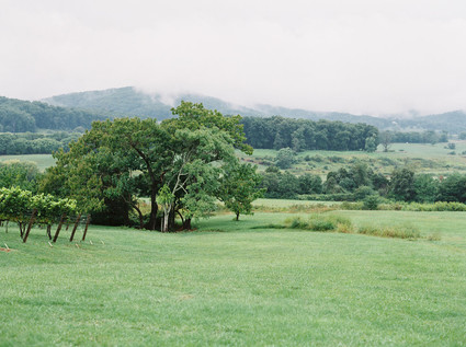 Pippin Hill Farm maternity photos