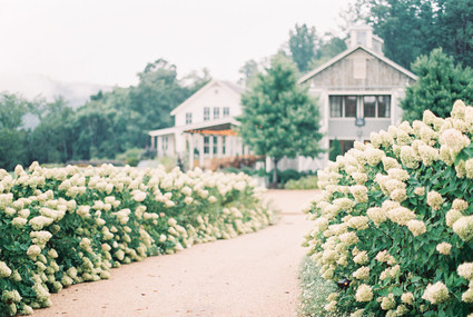Pippin Hill Farm maternity photos