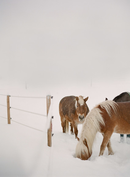 Salzburg Austria in Winter on 100 Layer Cake Inspiration