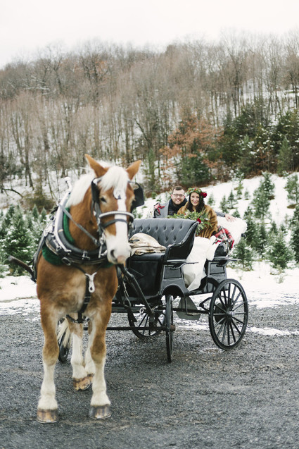 Snowy Christmas tree farm wedding ideas