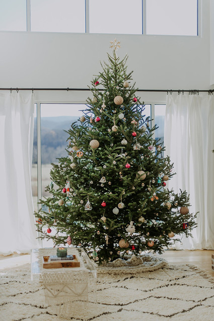 Festive family home and Christmas photos